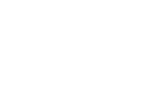 Emil Capital Logo white