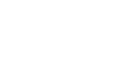 NEA Logo white